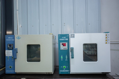 電熱鼓風干燥箱